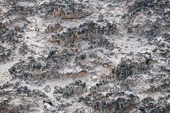 soil crusts 2 graphic